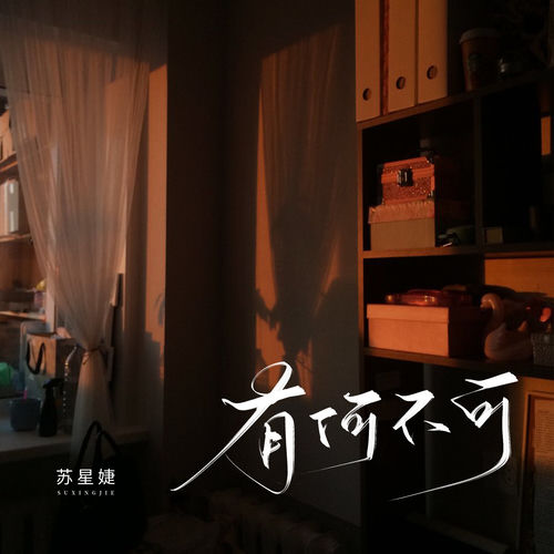 有何不可