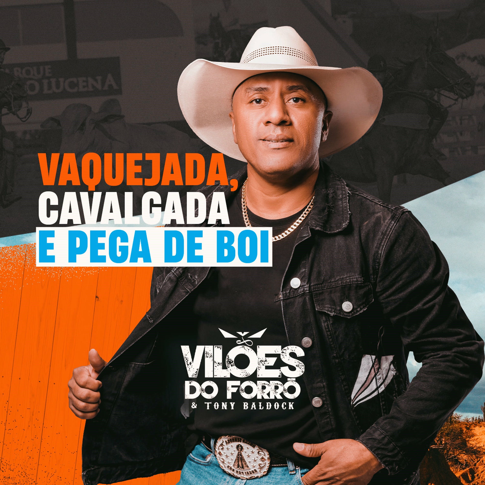Album cover of De Volta na Fazenda