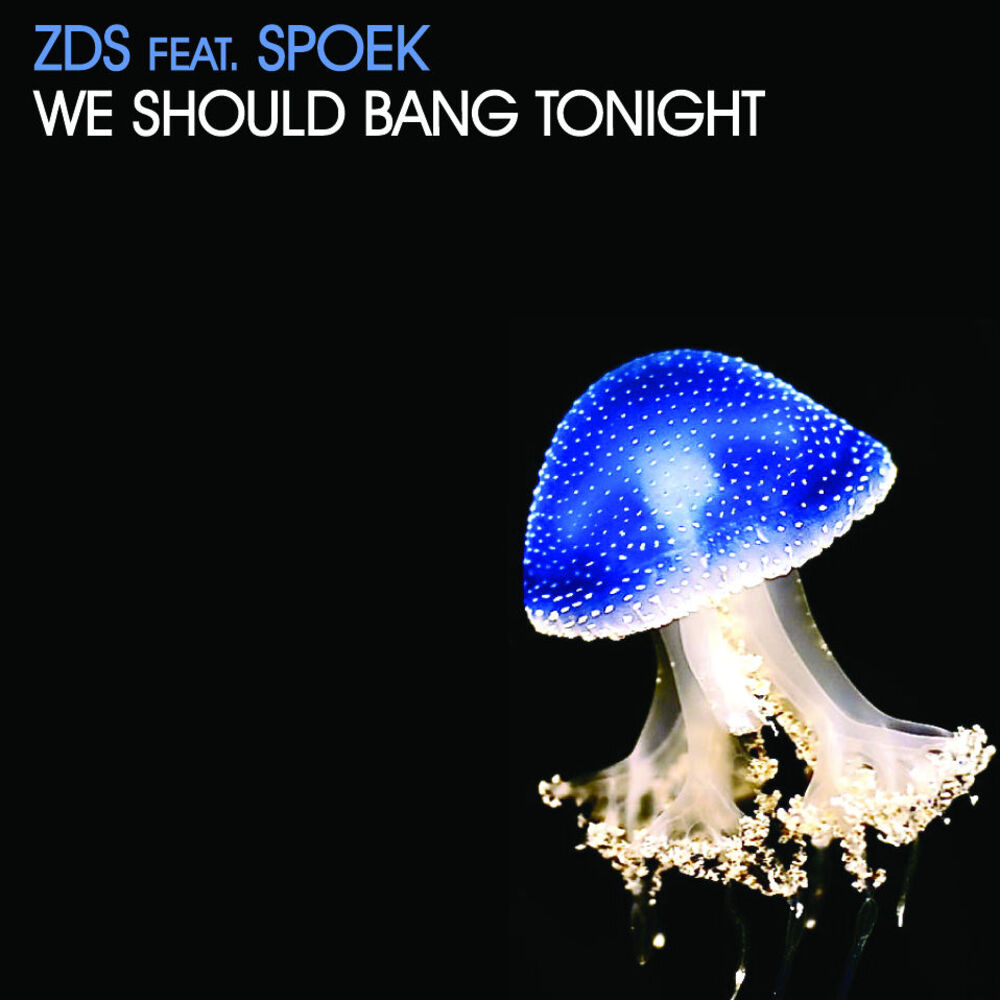 Picture of We Should Bang Tonight Ep