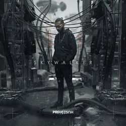 Cover of Skywalker