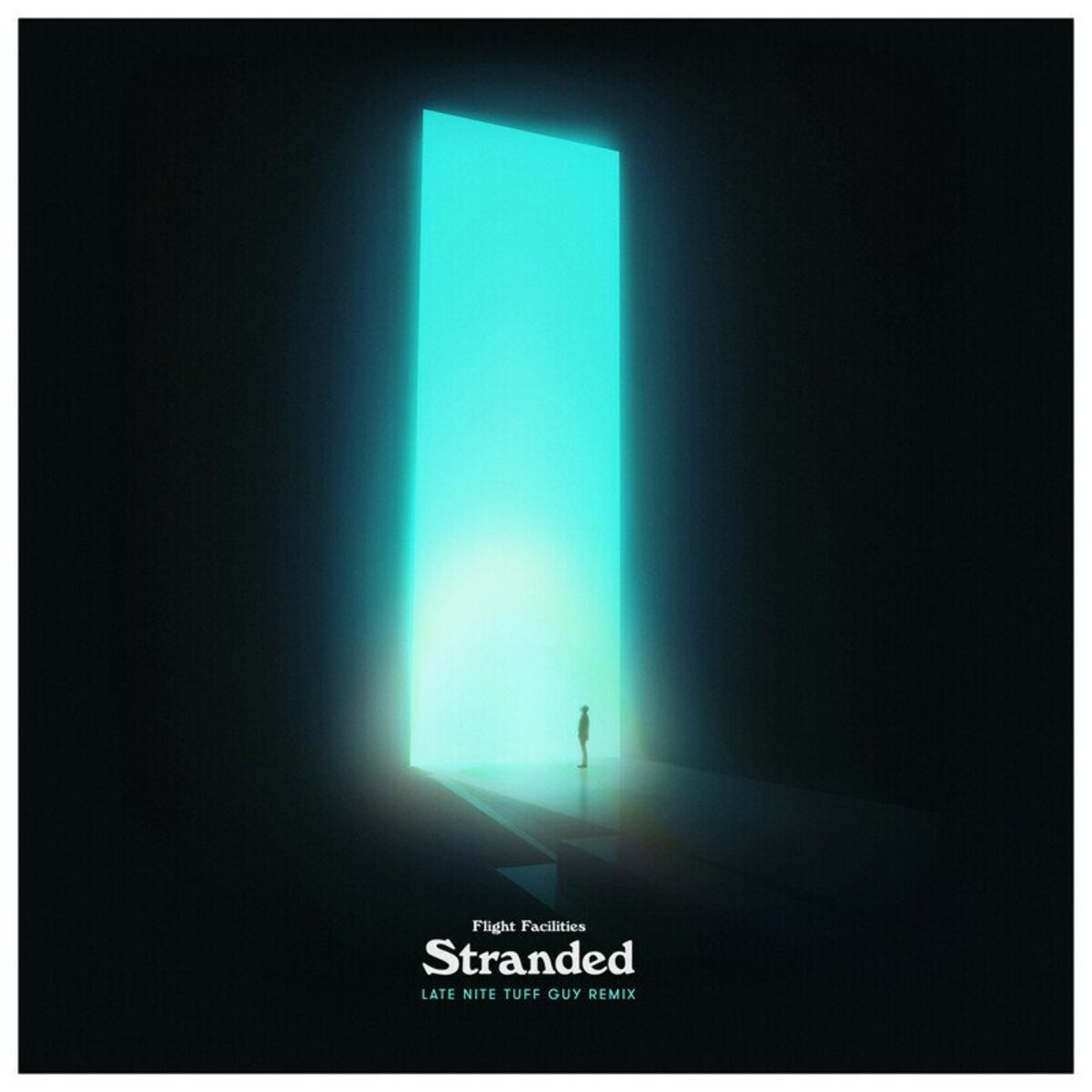 Album cover of Stranded (Late Nite Tuff Guy Remix)