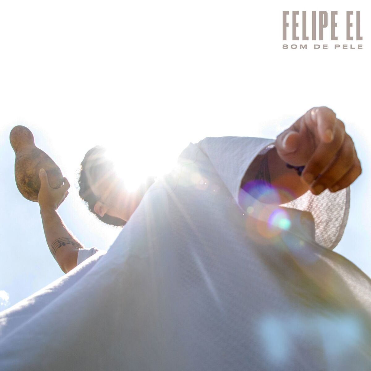 Album cover of Som de Pele (Remix)