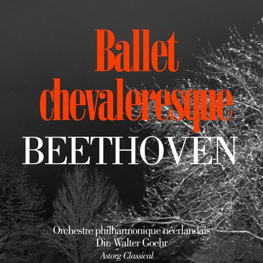 Picture of Beethoven : Ballet chevaleresque
