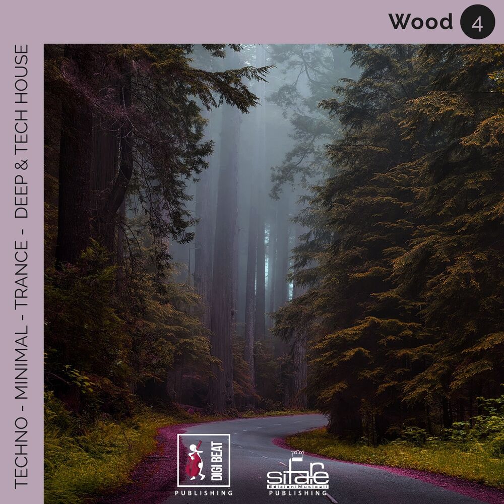 Picture of Wood 4 (Techno Minimal Trance Deep and Tech House Remix)