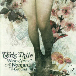 Cover of How To Grow A Woman From The Ground