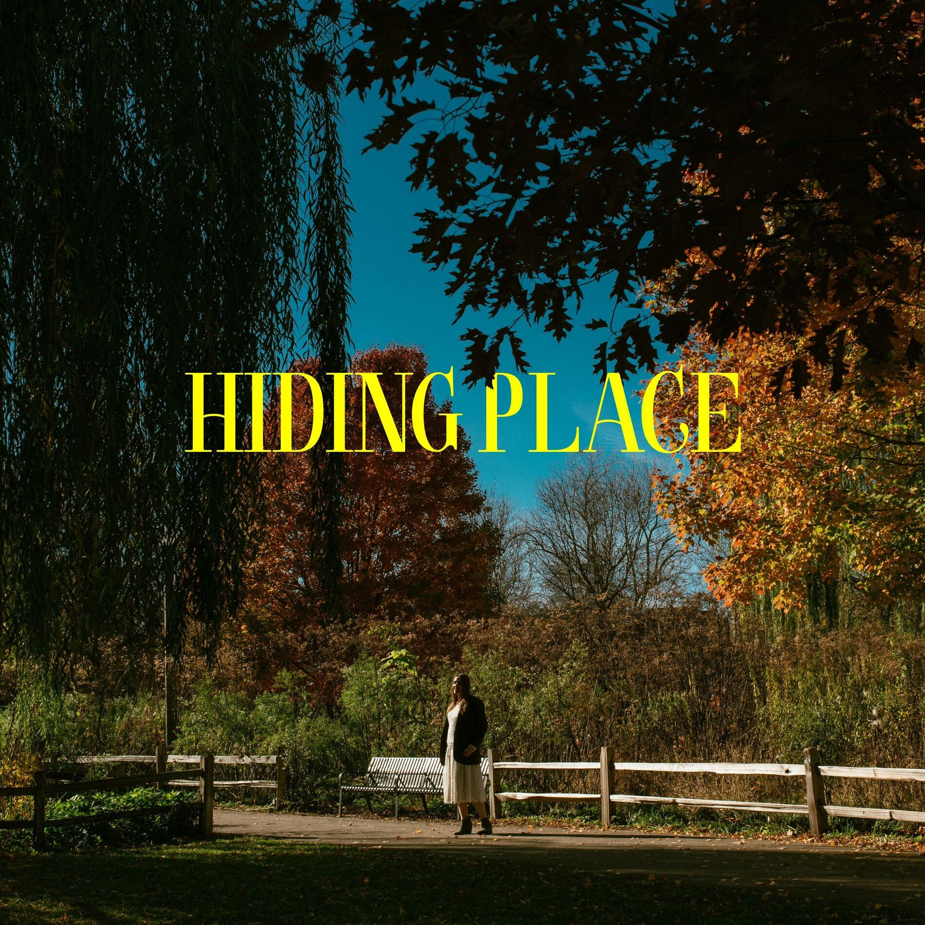 Album cover of Hiding Place