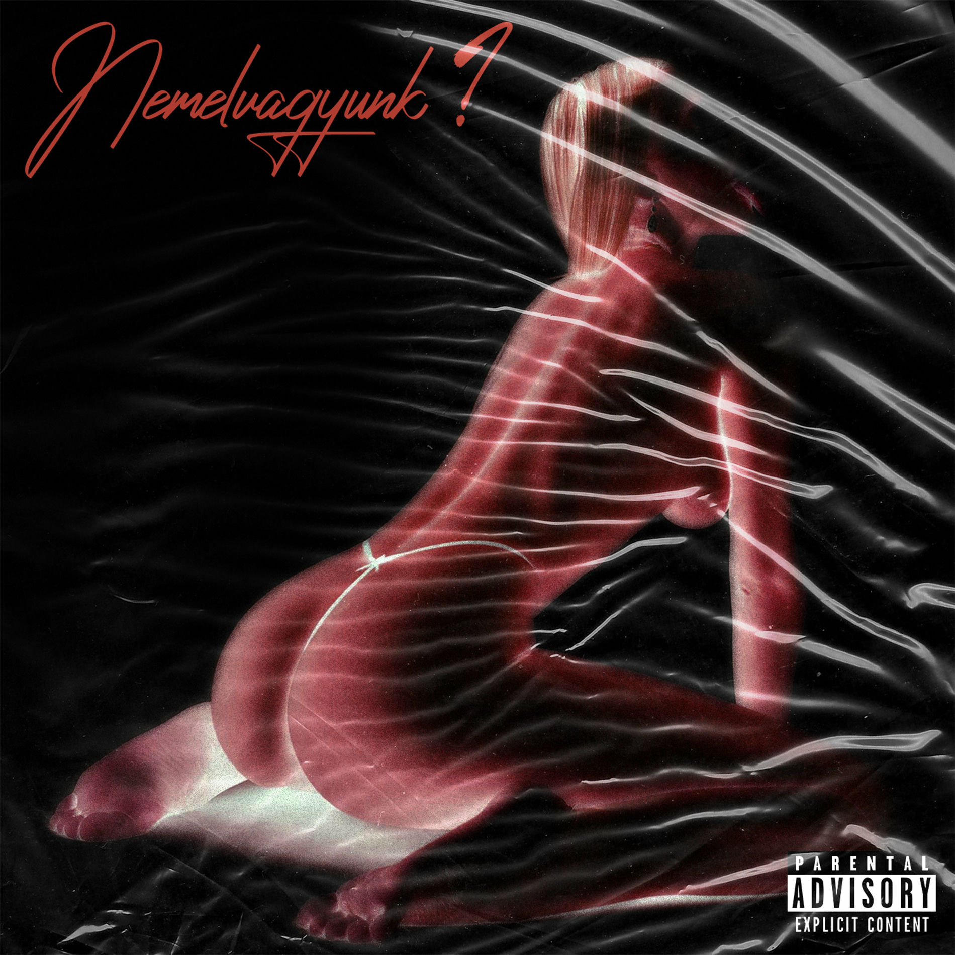 Album cover of NEMELVAGYUNK ?