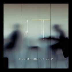 Cover of Slip