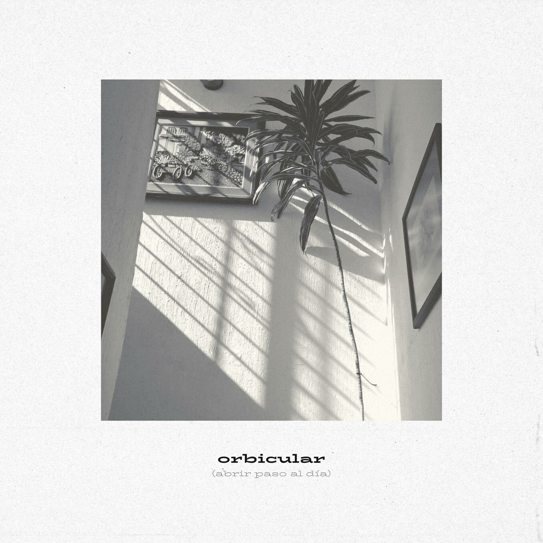Album cover of orbicular (Abrir paso al día)