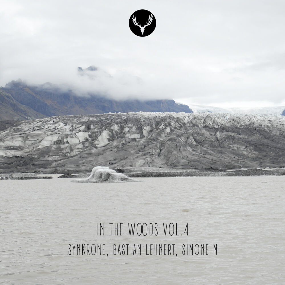 Picture of In The Woods Vol. 4