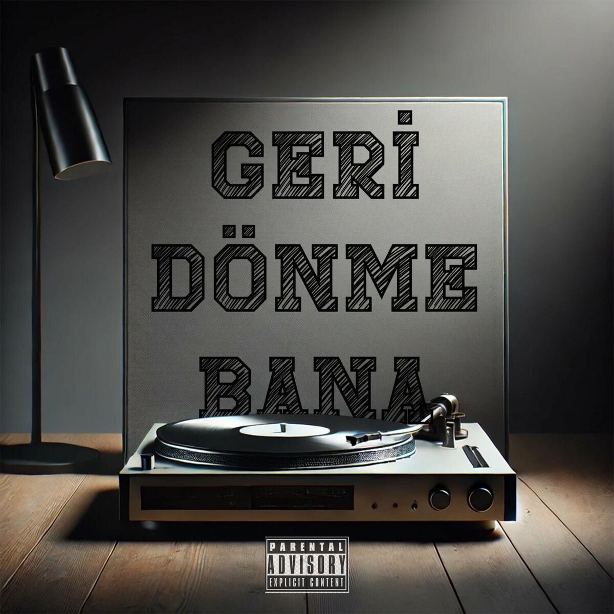 Album cover of Geri Dönme Bana