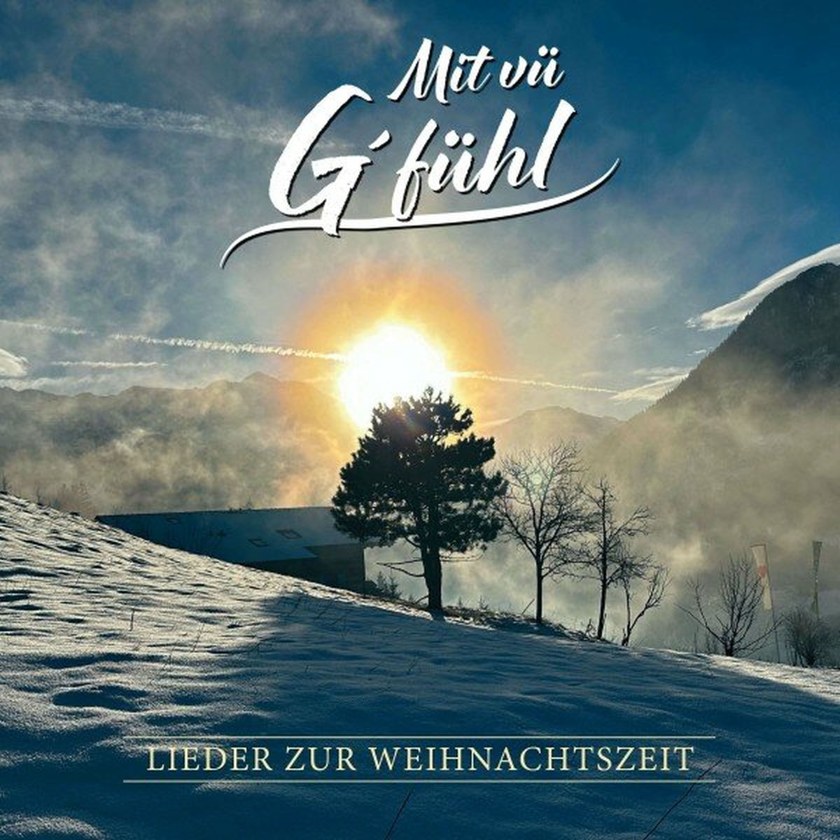 Album cover of Mit vü G'fühl