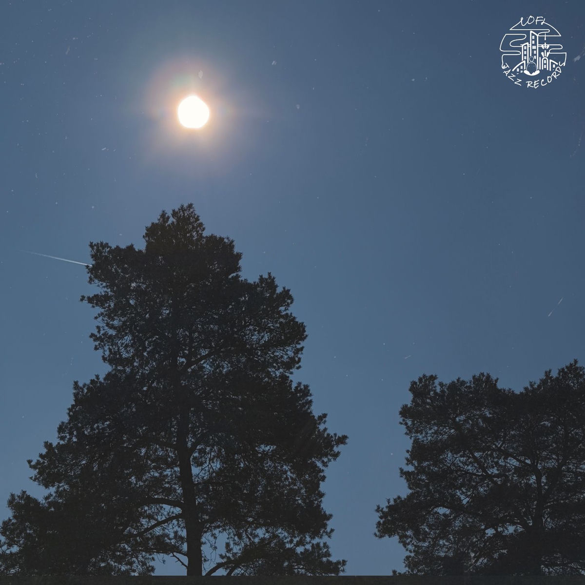 Album cover of Juniper