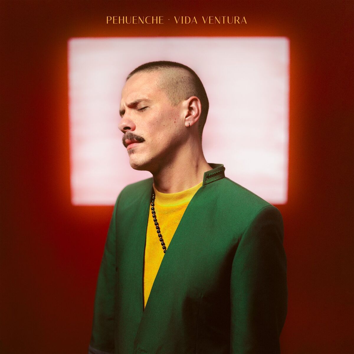 Album cover of Vida Ventura