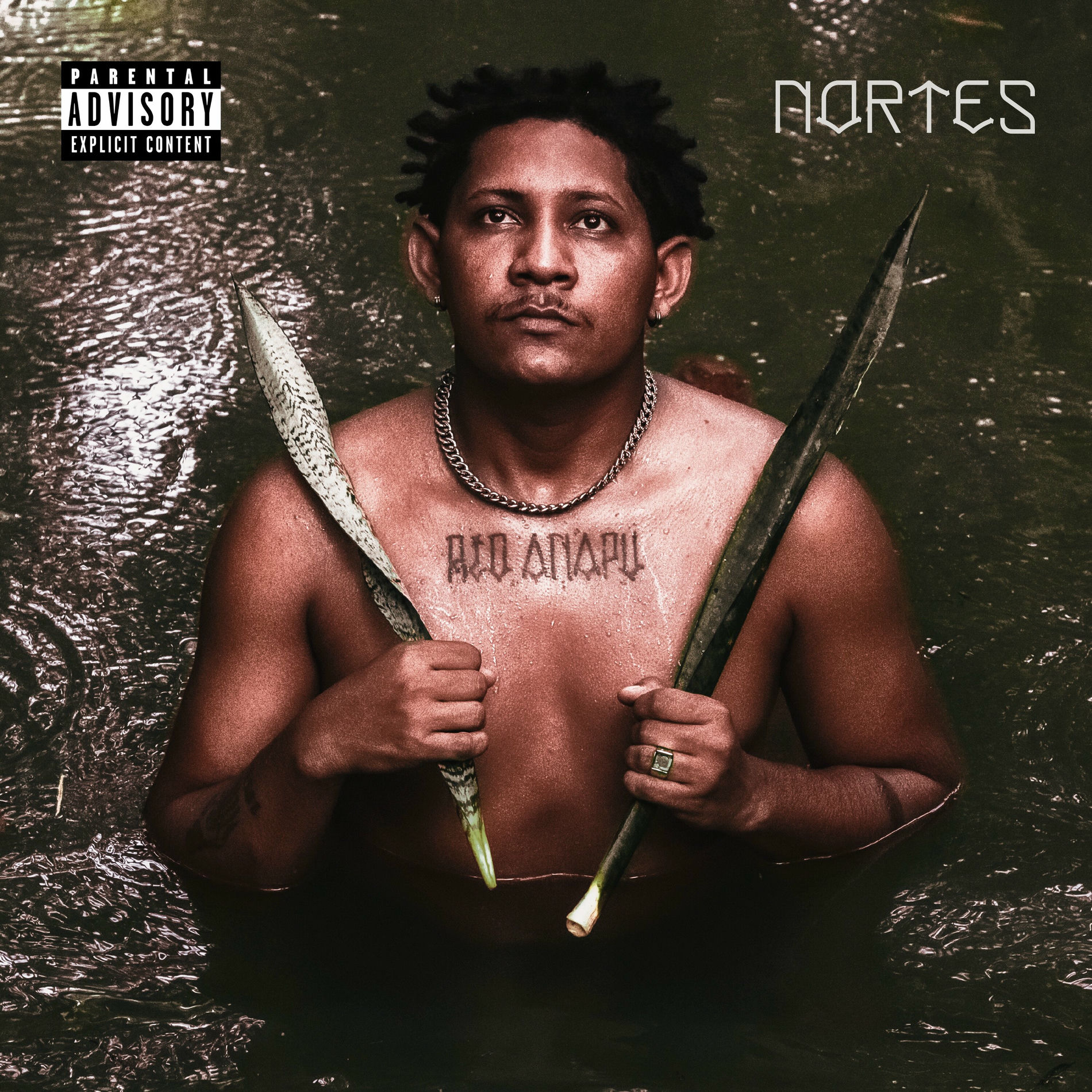 Album cover of Nortes