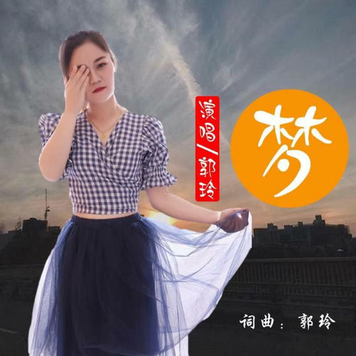 梦