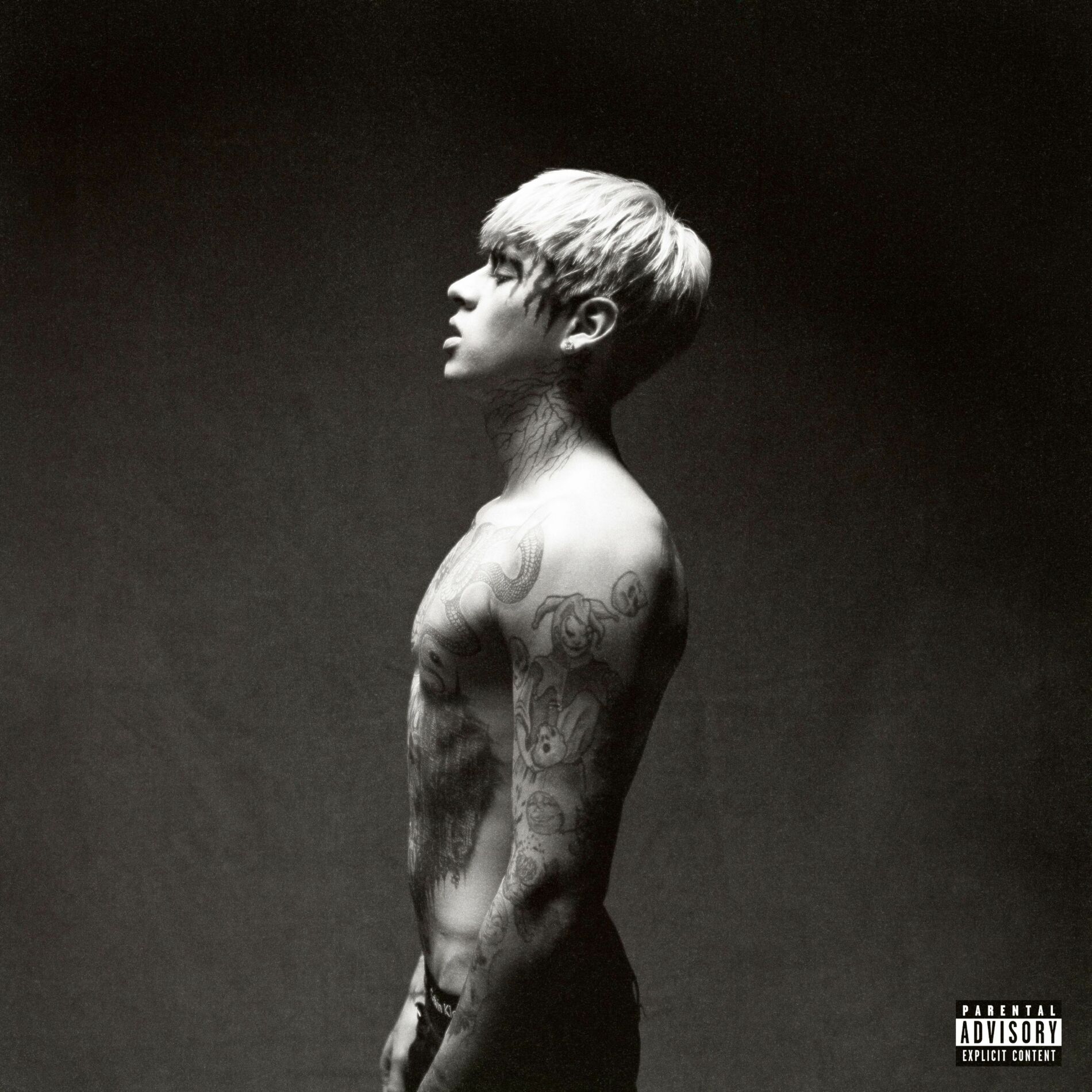 Album cover of 2021