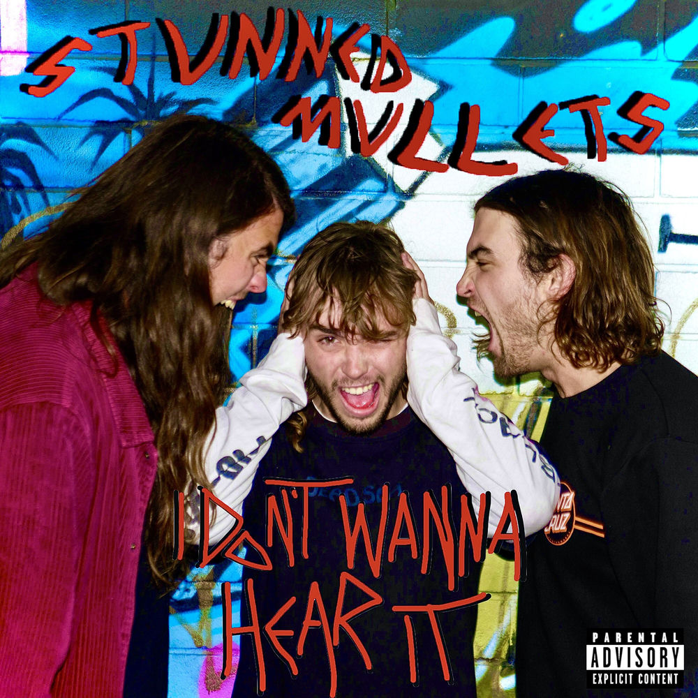 I DON’T WANNA HEAR IT artwork
