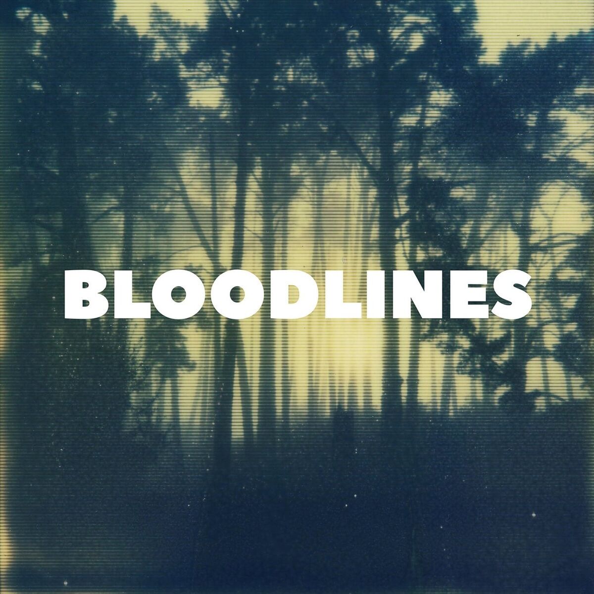 Album cover of K. Carpenter
