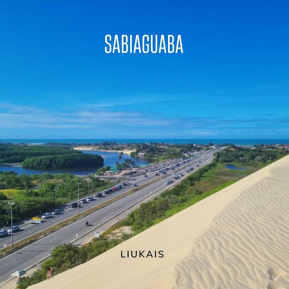 Picture of Sabiaguaba