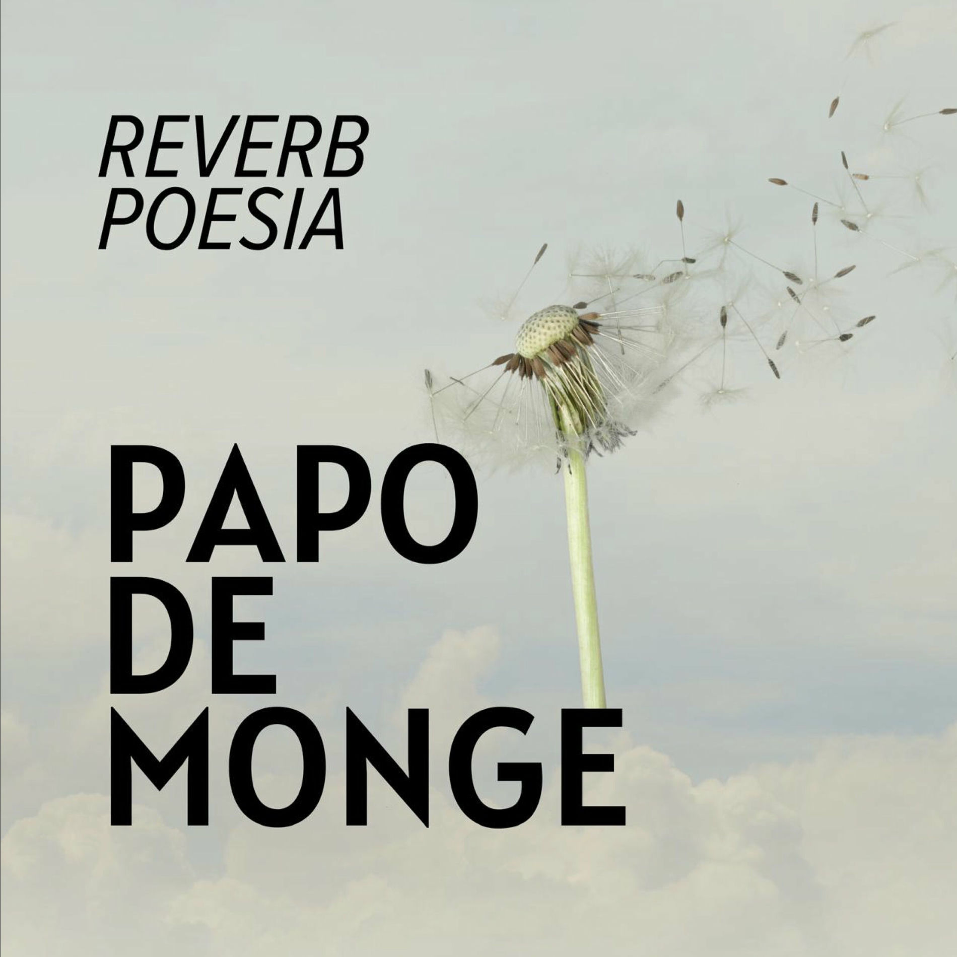 Album cover of Papo de Monge
