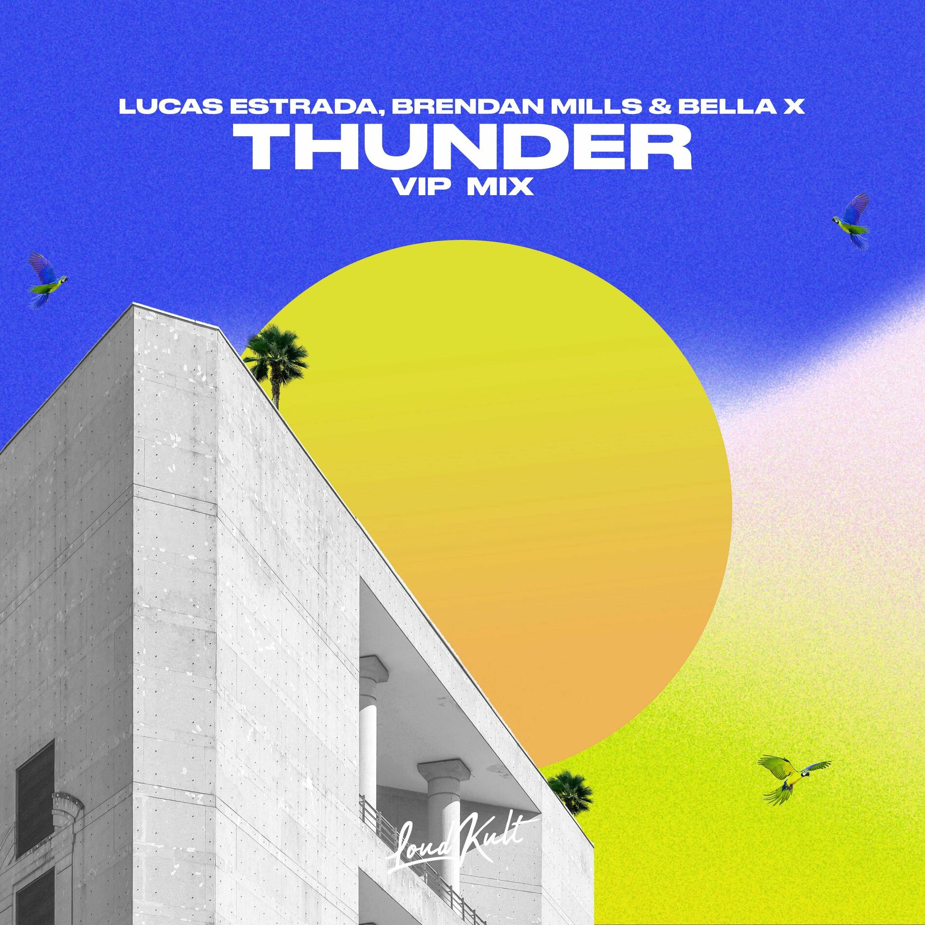 Album cover of Thunder (feat. LRMEO) (VIP Mix)