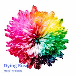 Cover of Dying Rose