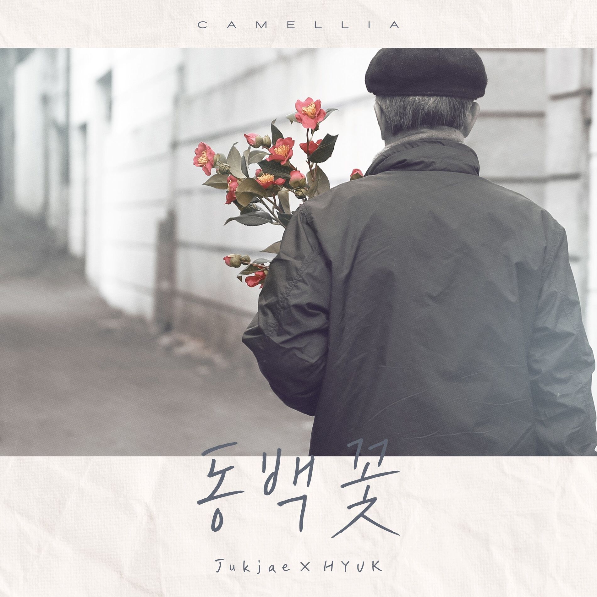Album cover of Camellia