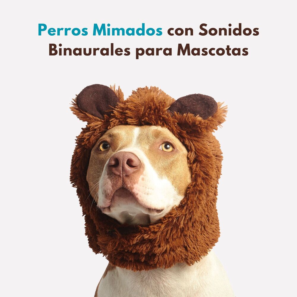 Picture of Perros Mimados Con Sonidos Binaurales Para Mascotas