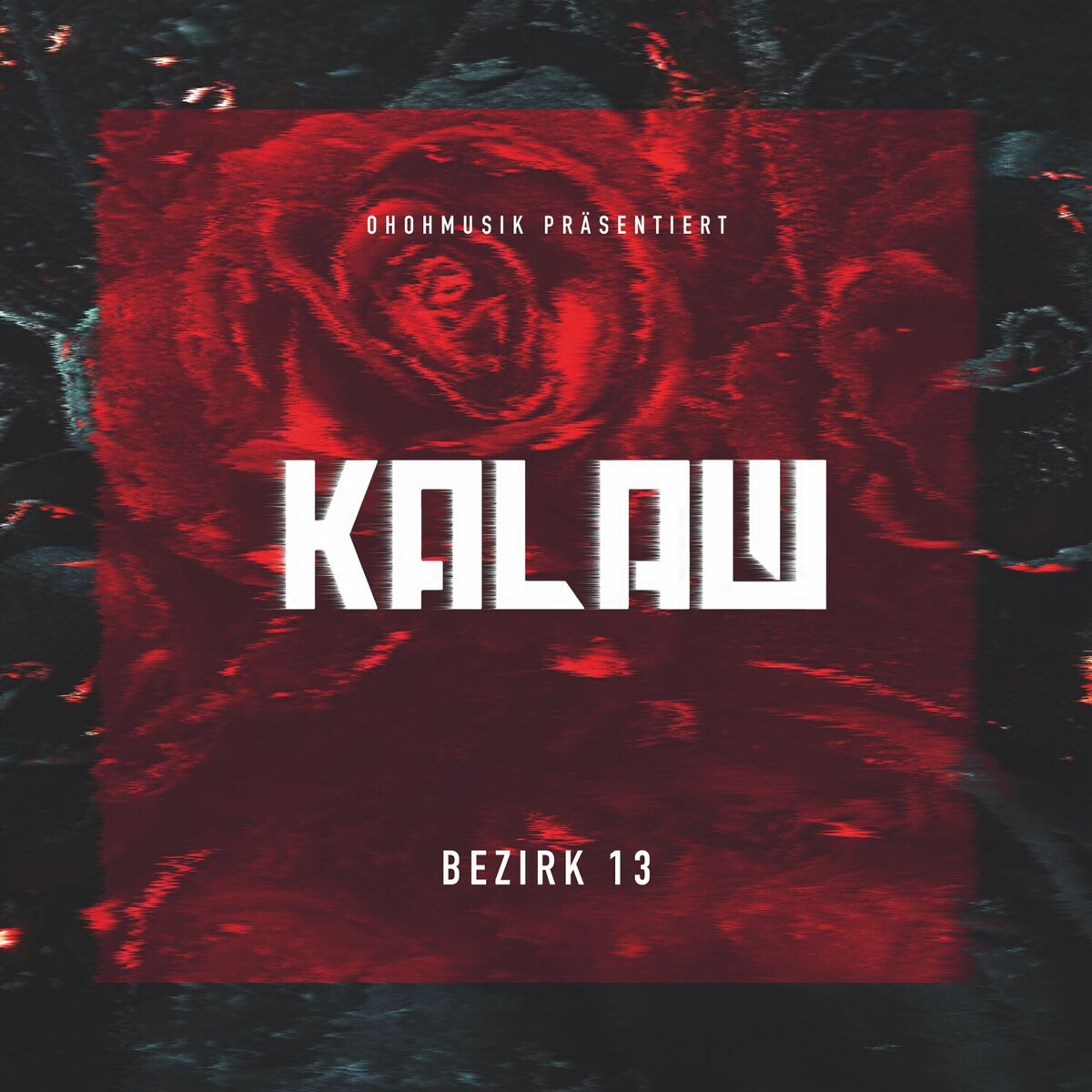 Album cover of Bezirk 13