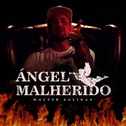 Cover of Ángel Malherido