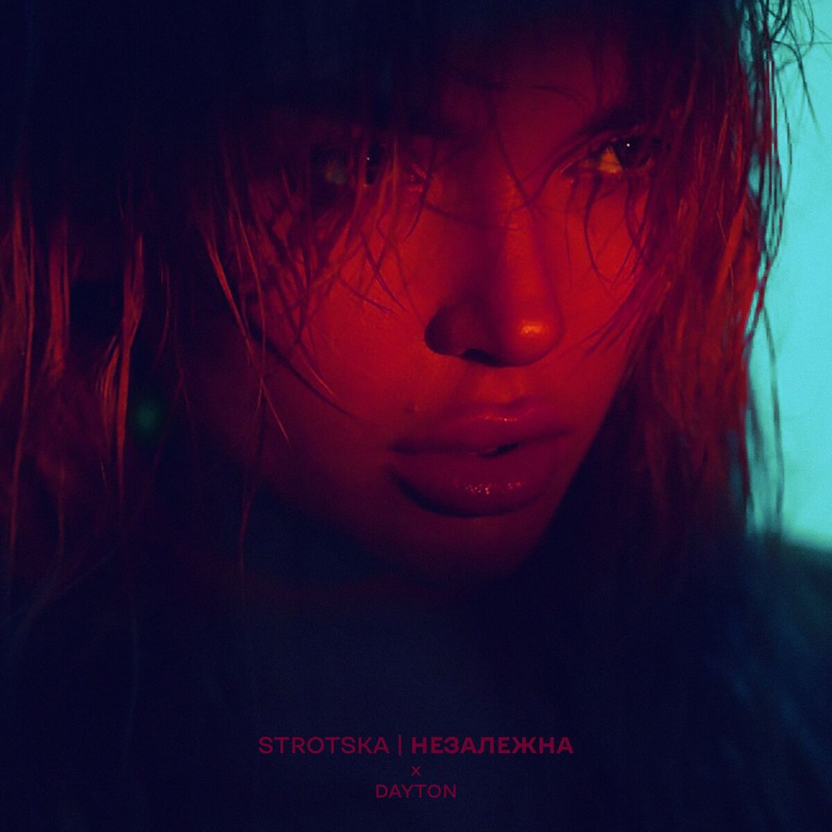 Album cover of Незалежна (DAYTON Remake)