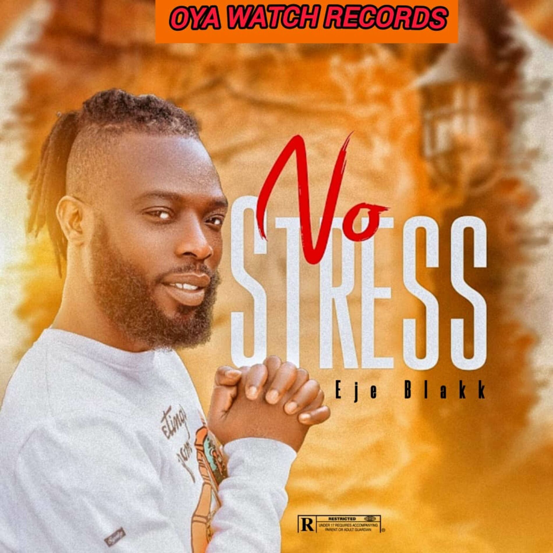 Album cover of No Stress