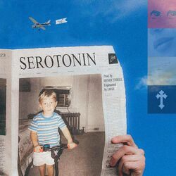 Cover of serotonin