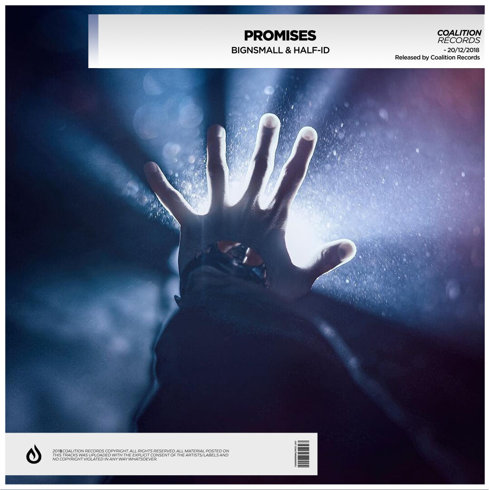 Picture of Promises