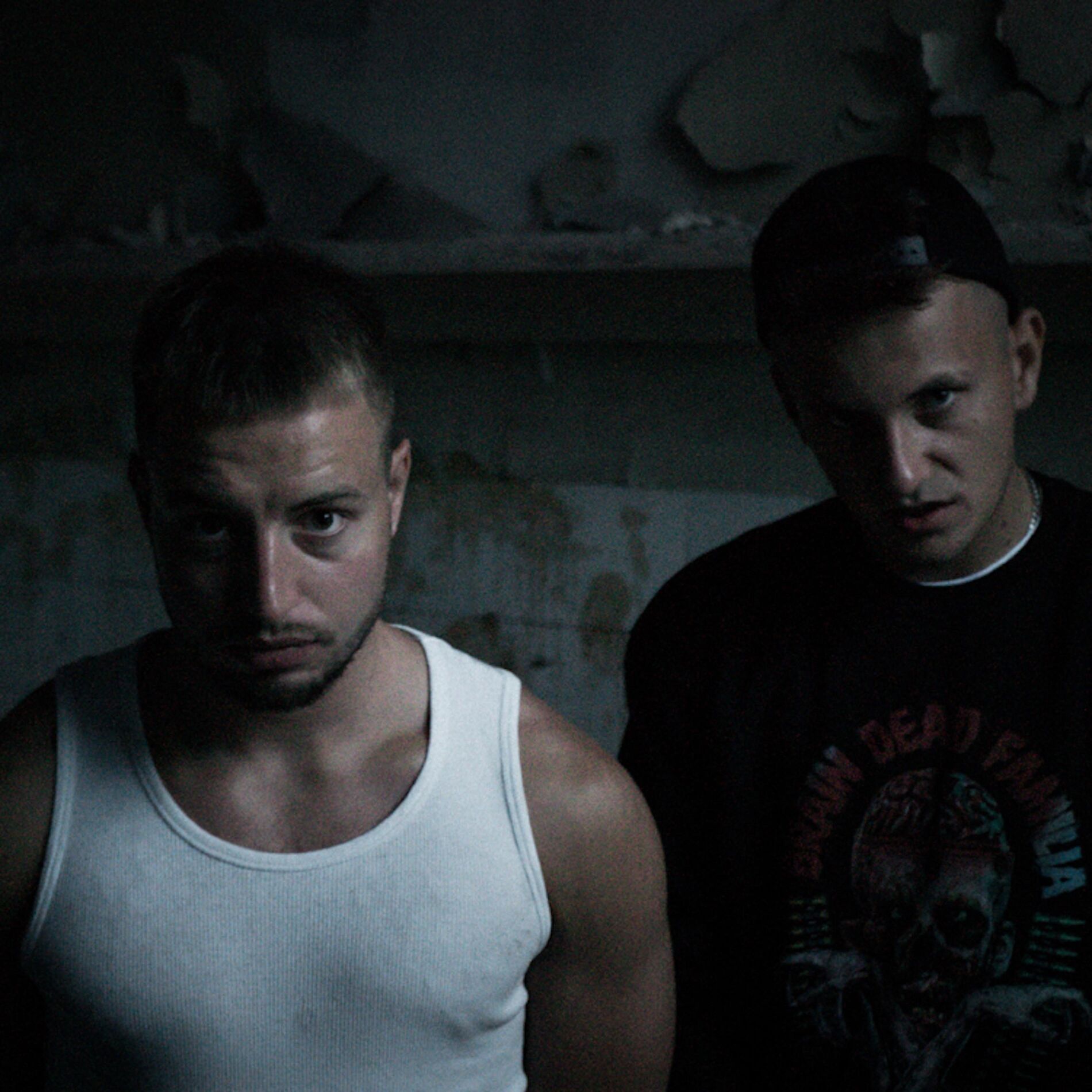 Album cover of Introwertyk (feat. Opał)