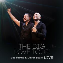 The Big Love Tour (Live)