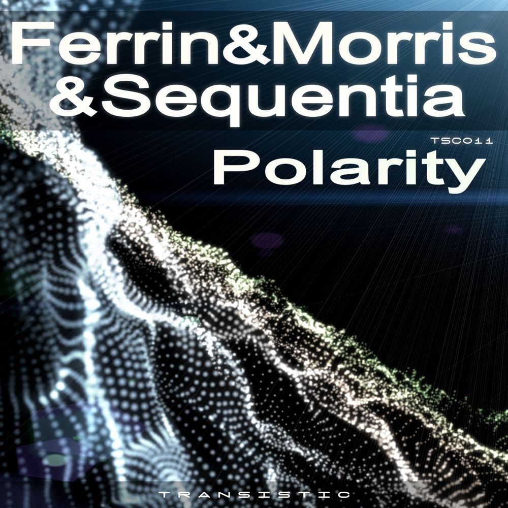 Picture of Polarity