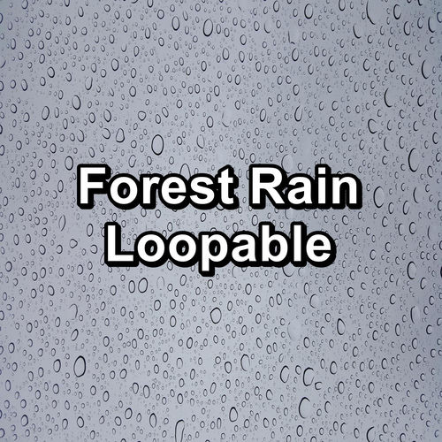 Forest Rain Loopable