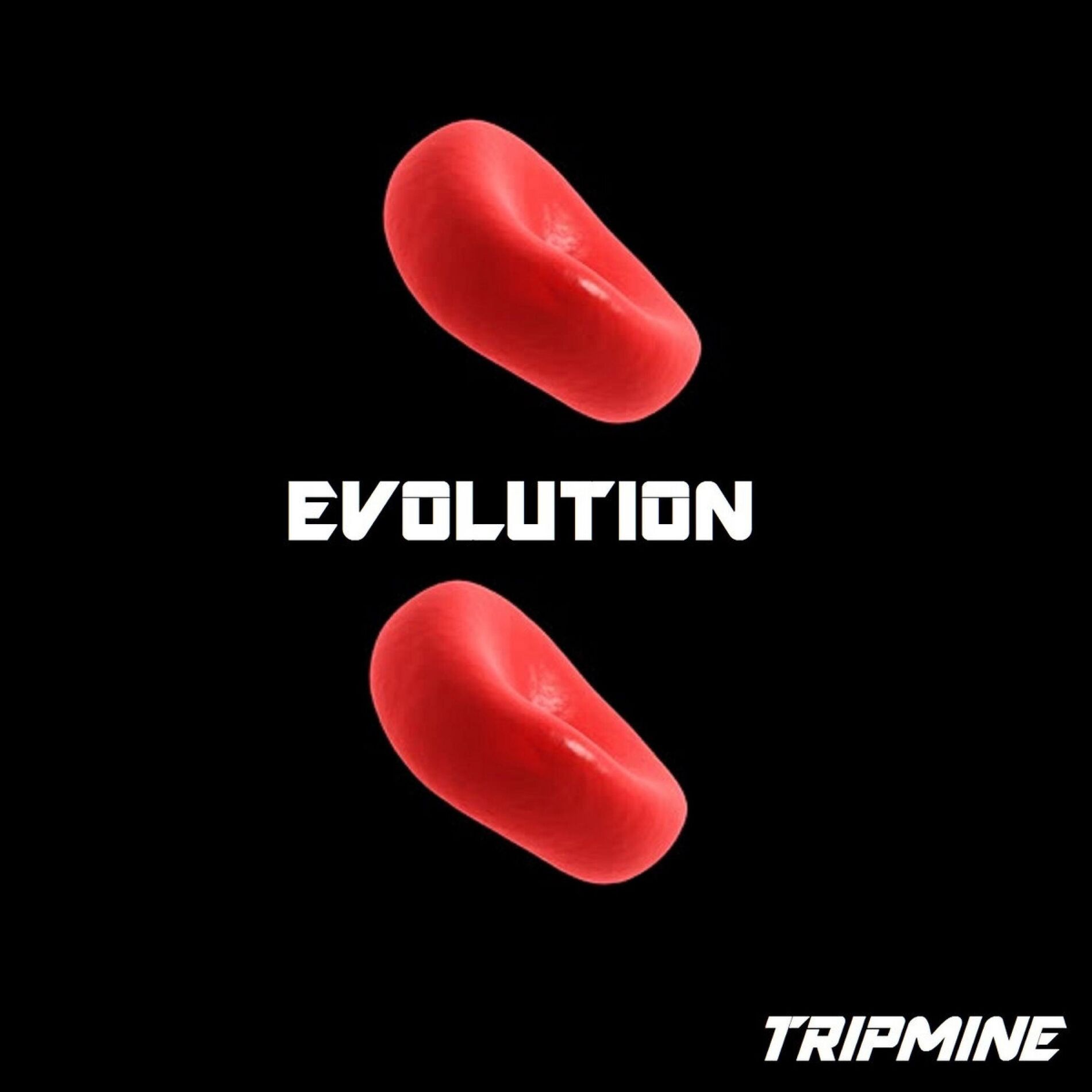 Album cover of Evolution