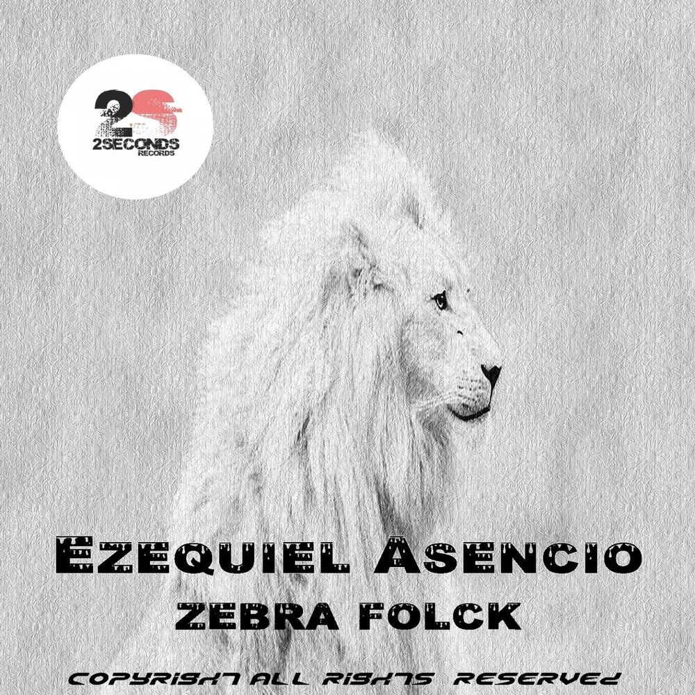 Picture of Zebra Folck
