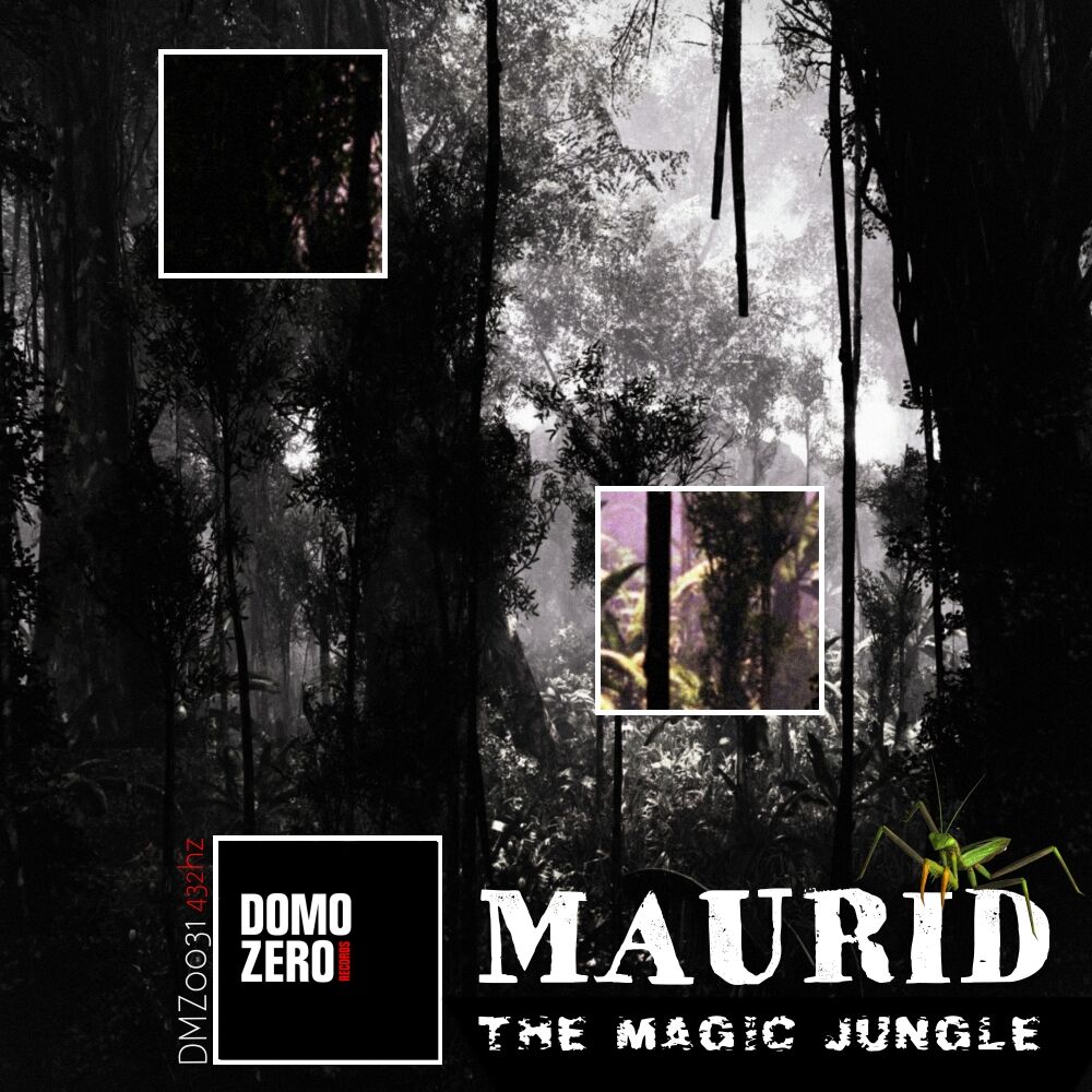 Picture of The Magic Jungle 432Hz