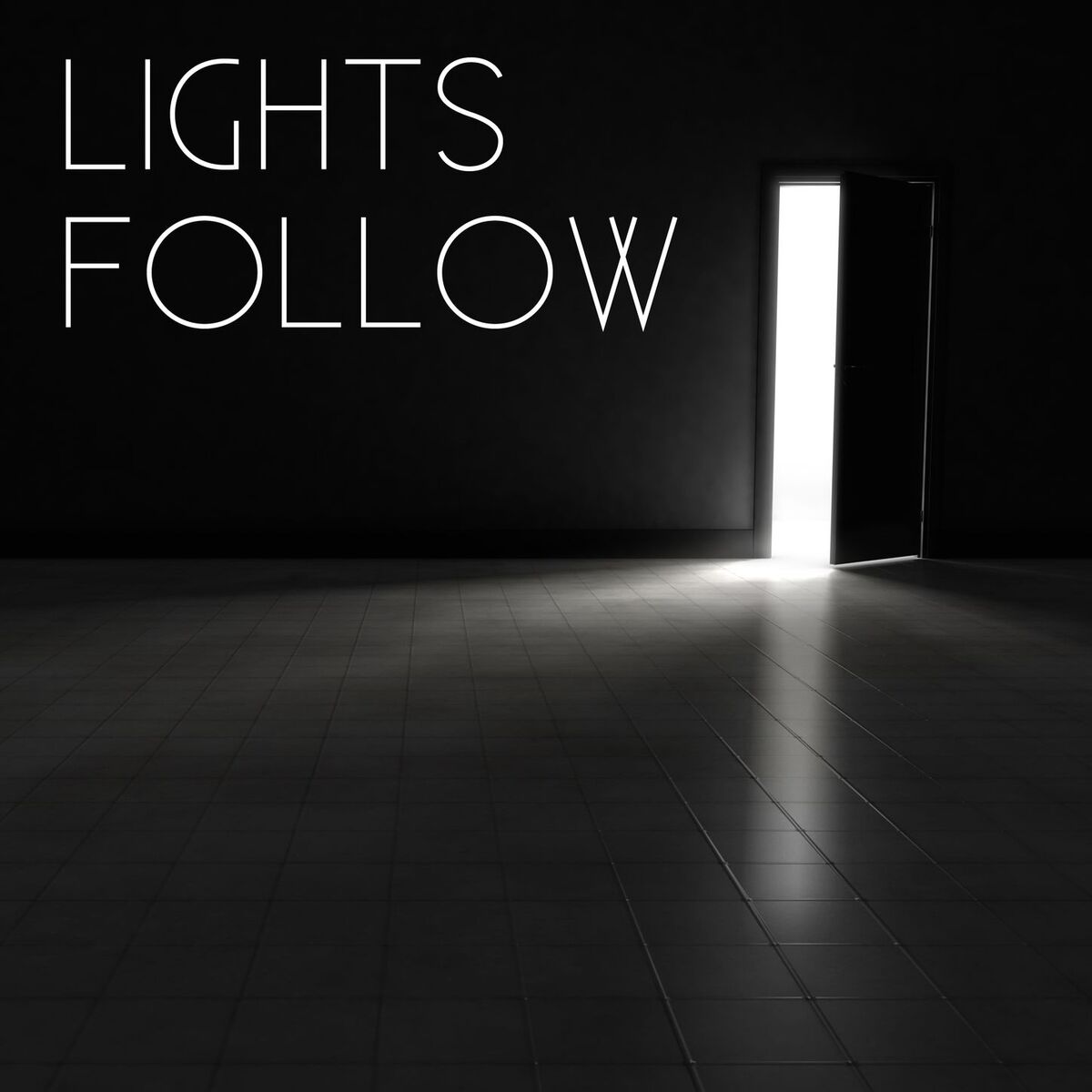Album cover of Lights Follow