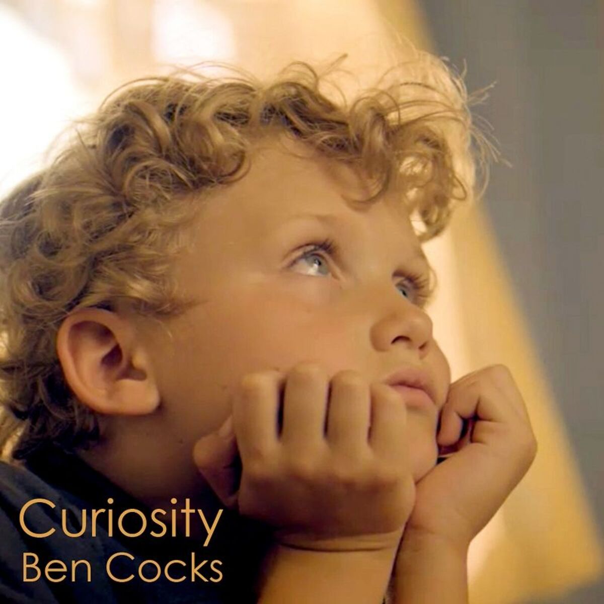 Album cover of Curiosity