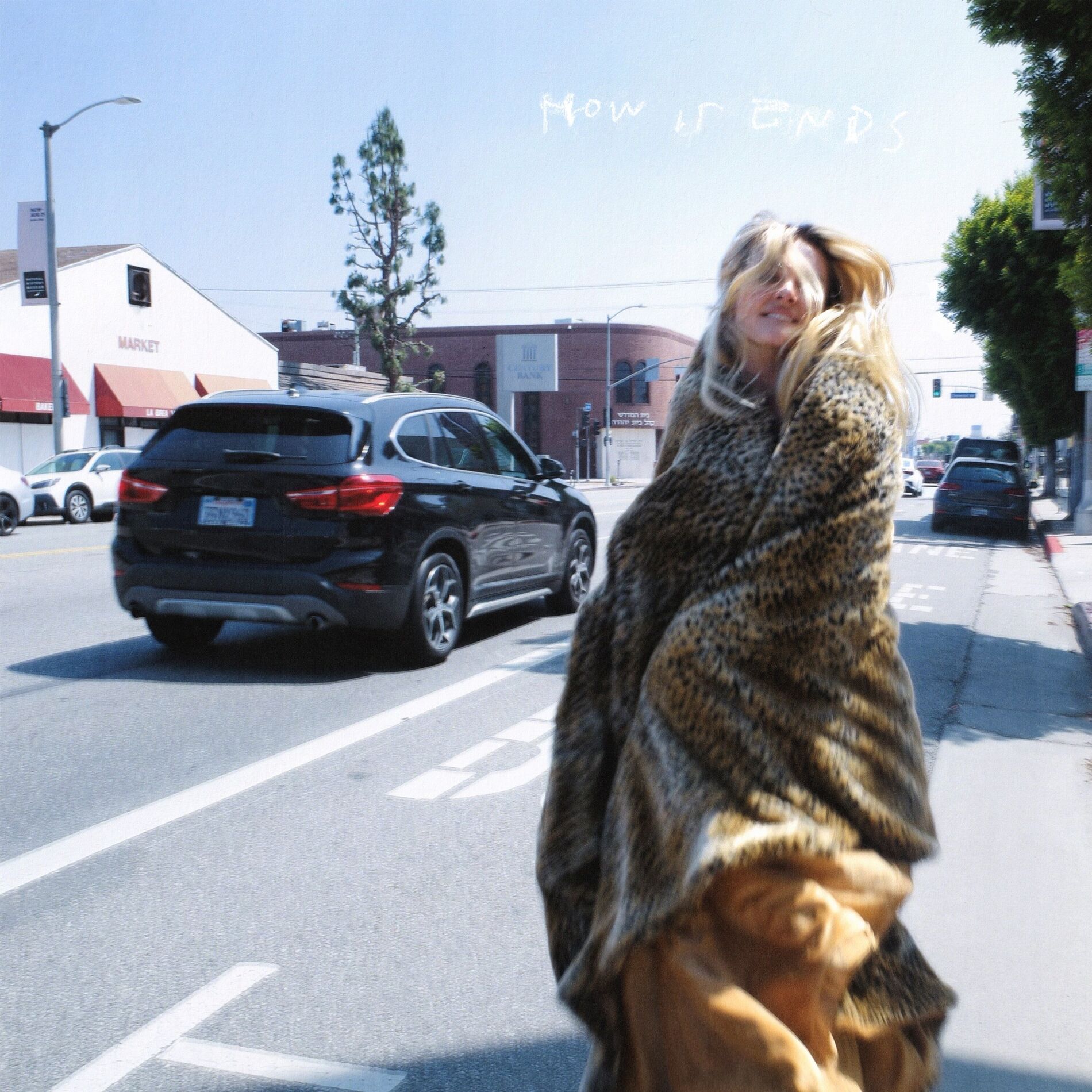 Album cover of How It Ends