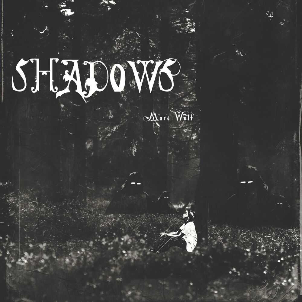 Picture of Shadows