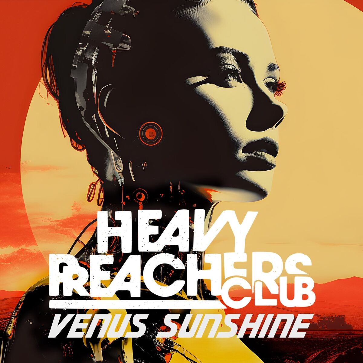 Album cover of Venus Sunshine