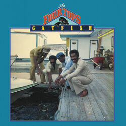 Cover of Catfish