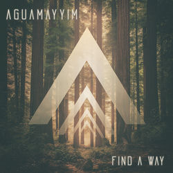 Cover of Find A Way by undefined