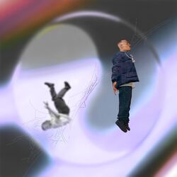 Cover of Resiliência